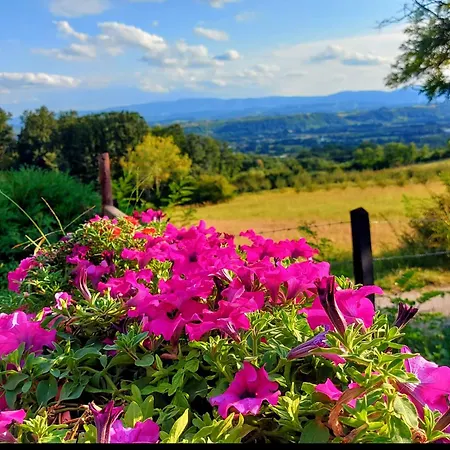 度假居 Kuca Za Uzivanje *