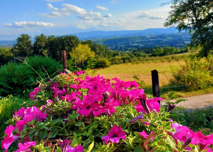 度假居 Kuca Za Uzivanje *