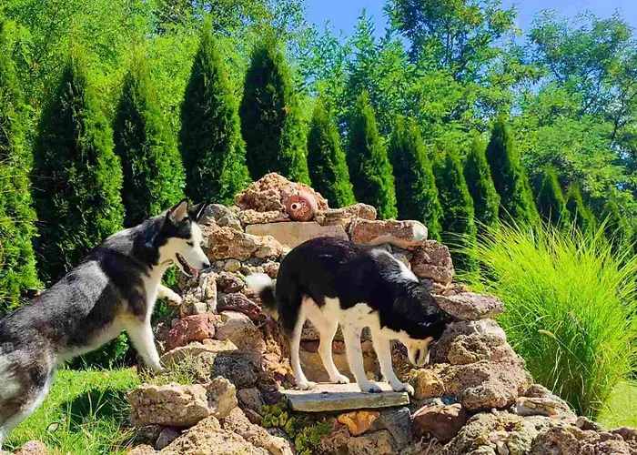 度假居 Kuca Za Uzivanje *